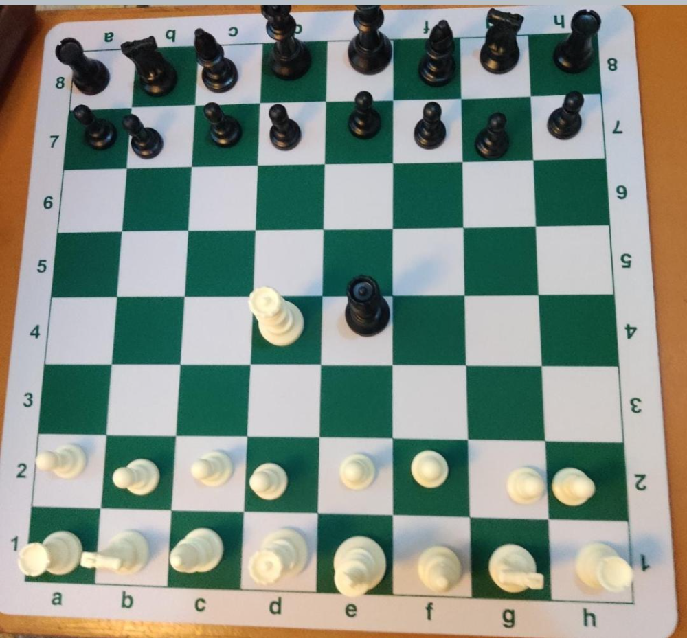 2mm thick Standard Rubber chess set + bag